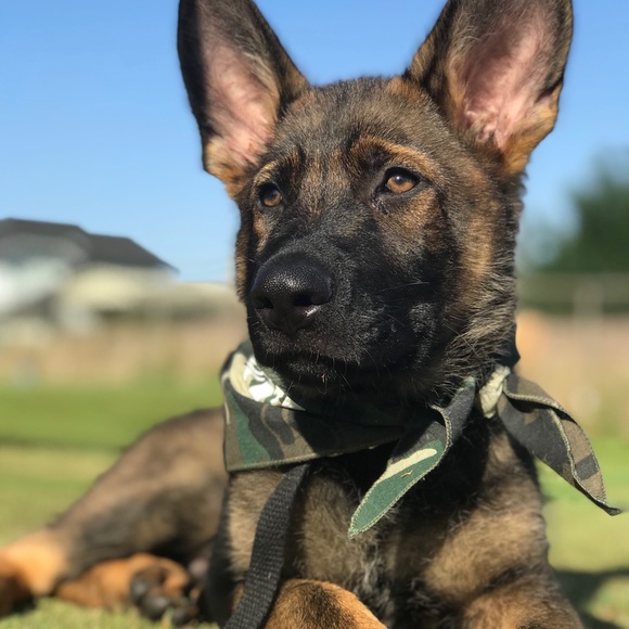 Meet your Posher, Jessica - Picture 5 of 6